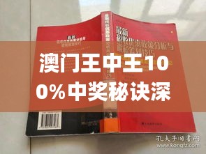 新澳门王中王100%期期中,实地数据解释定义_AP93.609