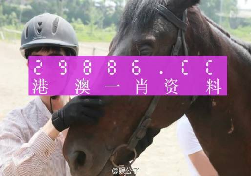 澳门必中一一肖一码服务内容,动态词语解释落实_标准版90.65.32